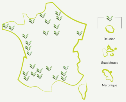 Carte adhérents Carte adhérents